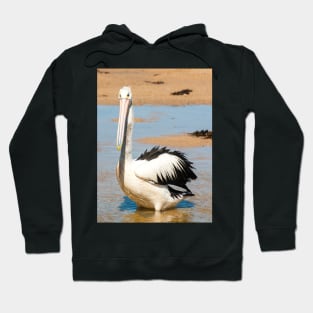 Australian Pelican Hoodie